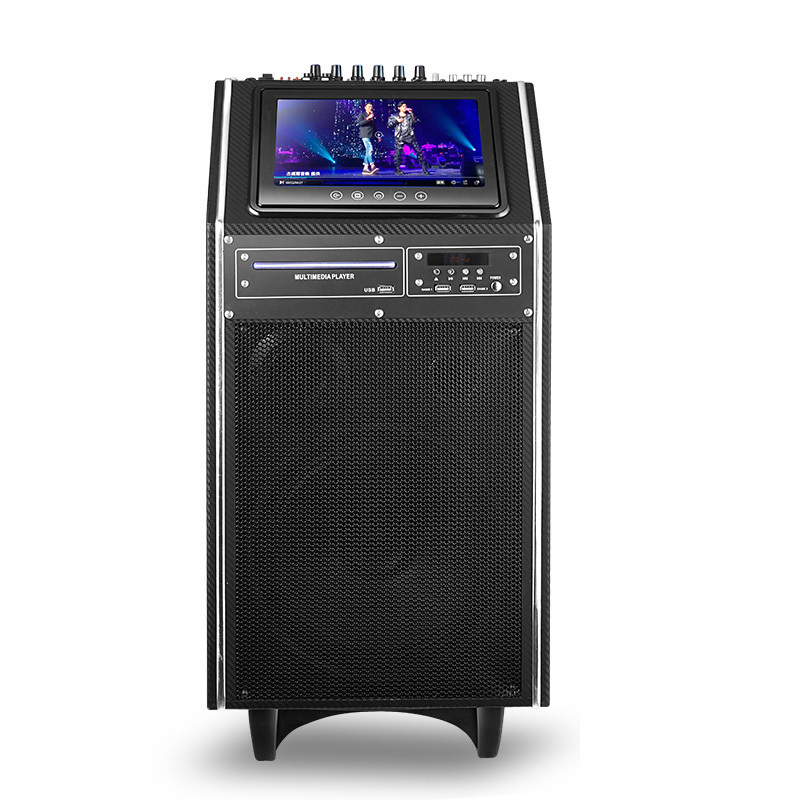 TV10A 9 Inch HD Screen Display 300W Strong Bass Blue-tooth Active Party Speaker Karaoke Portable Outdoor Trolley Speaker