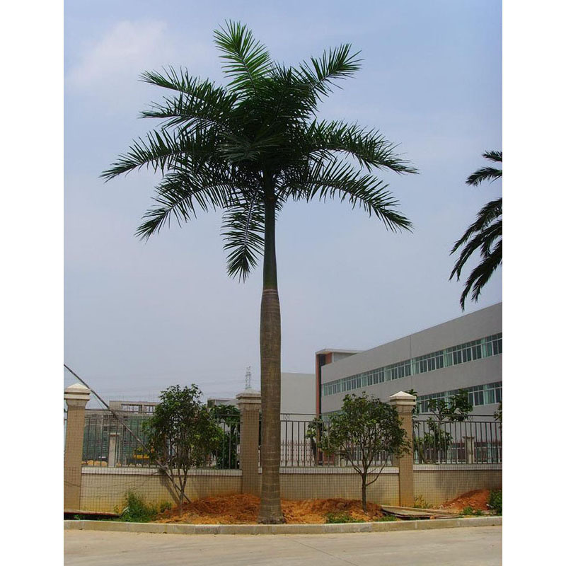 Large outdoor landscape fiberglass artificial king artificial coconut palm tree