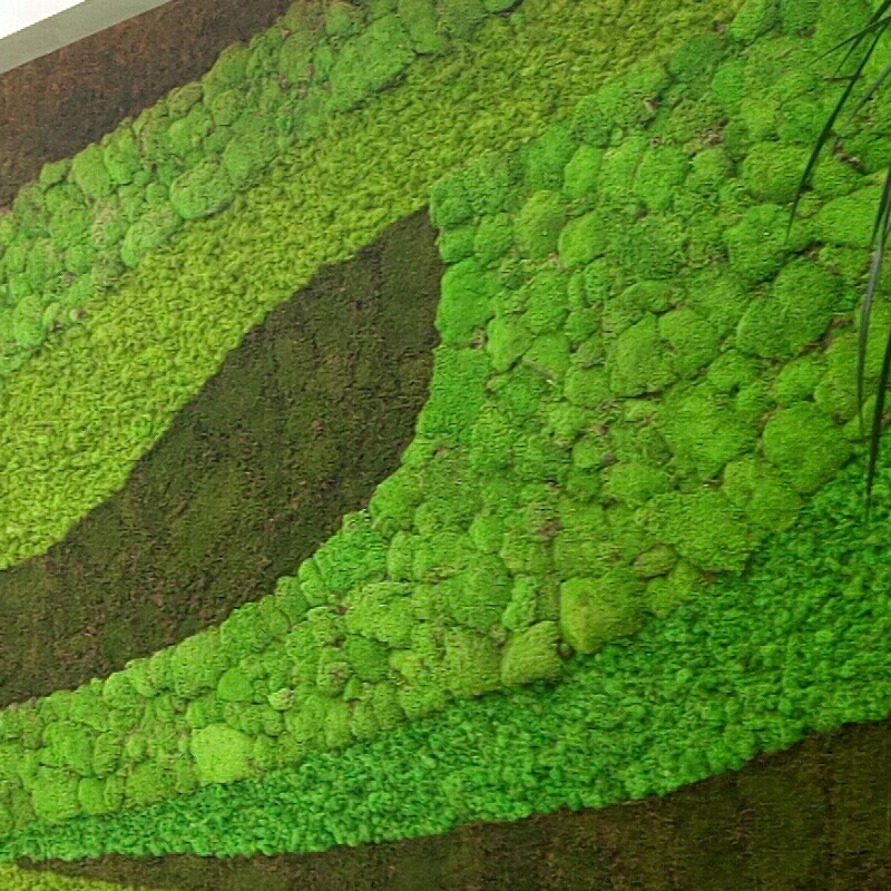 2019 hot selling natural indoor decorative artificial moss wall panel green, artificial green wall, living moss wall preserved