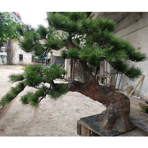 high quality 50cm height artificial bonsai pine tree plant, indoor mini green pine tree artificial for sale