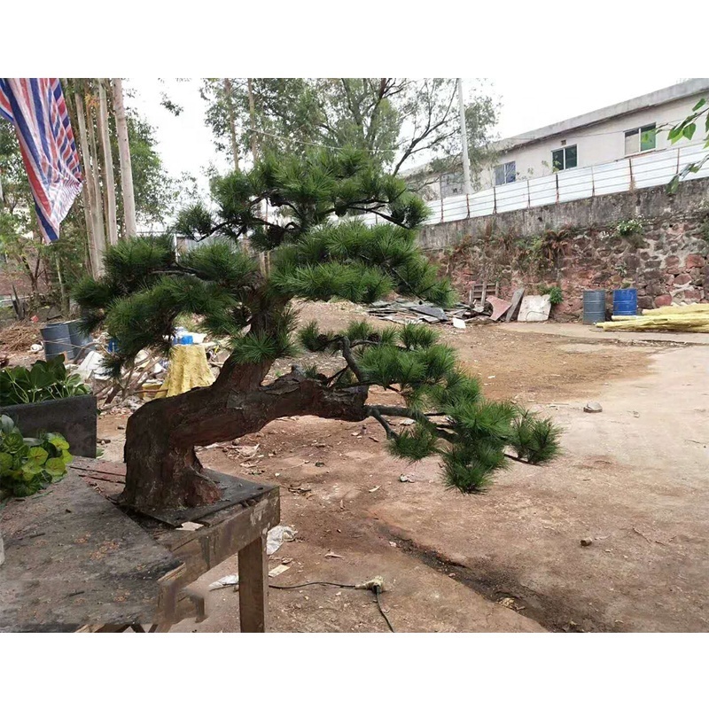 high quality 50cm height artificial bonsai pine tree plant, indoor mini green pine tree artificial for sale