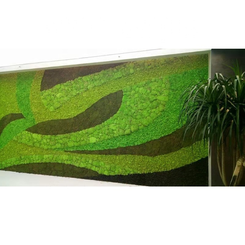 2019 hot selling natural indoor decorative artificial moss wall panel green, artificial green wall, living moss wall preserved