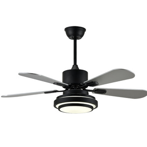 Customization ceiling fan remote control replacement 6 speed 36 inch led ceiling fan light