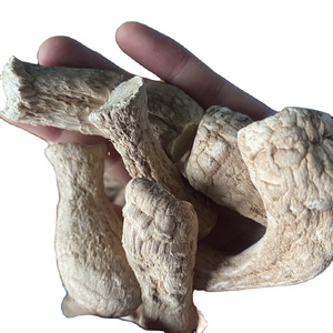 Wholesale Chinese New Crop Bulk Champignon  shiitake  stem  Dried Shiitake Mushroom