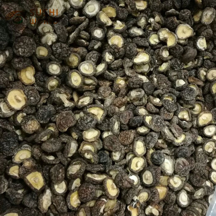 Wholesale Chinese New Crop Bulk Champignon  shiitake  stem  Dried Shiitake Mushroom