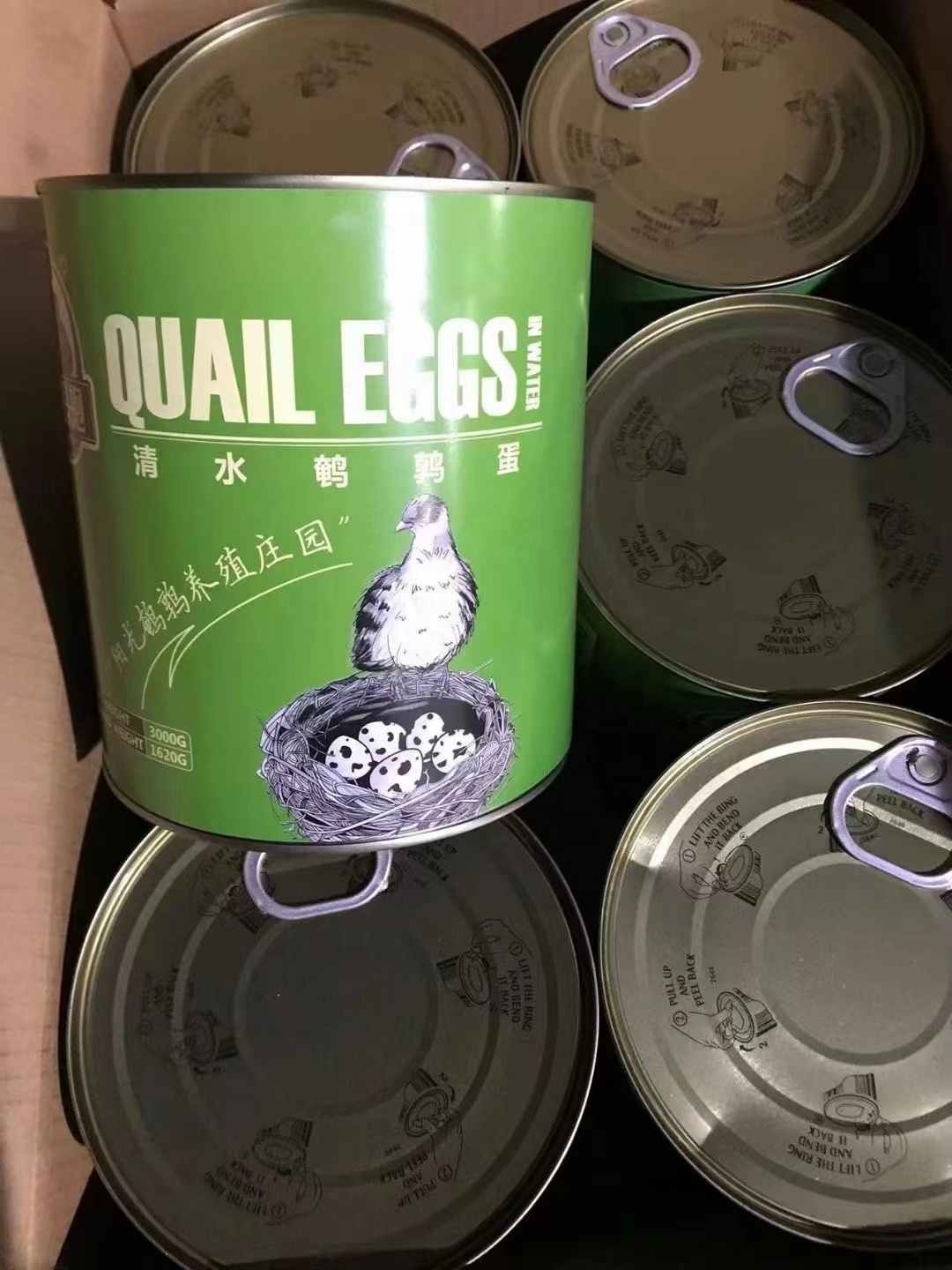 factory supply 425g boiled  canned salted quail eggs