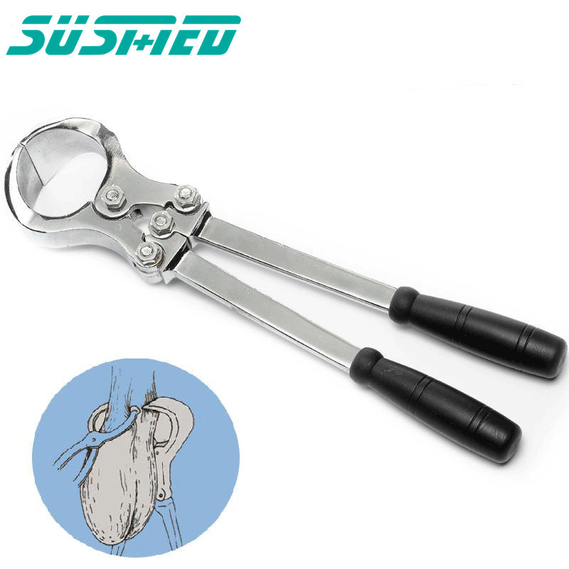 Animal  stainless steel castration forceps Castration Veterinary Instruments