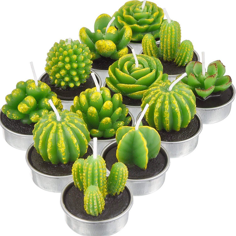 2022 Customized Soy Wax Scented Green Mini Cactus Succulent Plants Scented Candle