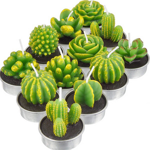 2022 Customized Soy Wax Scented Green Mini Cactus Succulent Plants Scented Candle