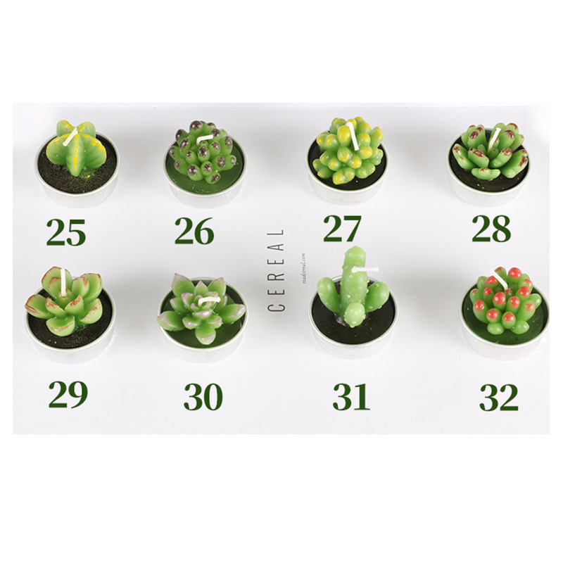 2022 Customized Soy Wax Scented Green Mini Cactus Succulent Plants Scented Candle