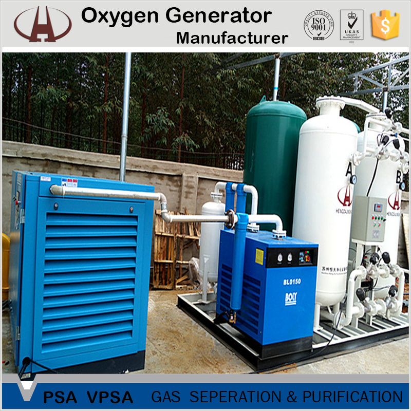 Medical or Industrial Used PSA Technology Oxygen Plant VPSA Oxygen Generator Large Scale Oxygen Production VPSA System 220V/380V