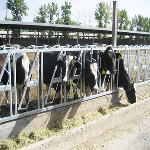 Low cost steel shade structure for cattle shed