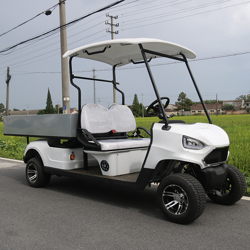 Utility Cargo Golf Carts 2 Seater Heavy Duty Cargo Small Golf Cart 48v With Off Road Tires