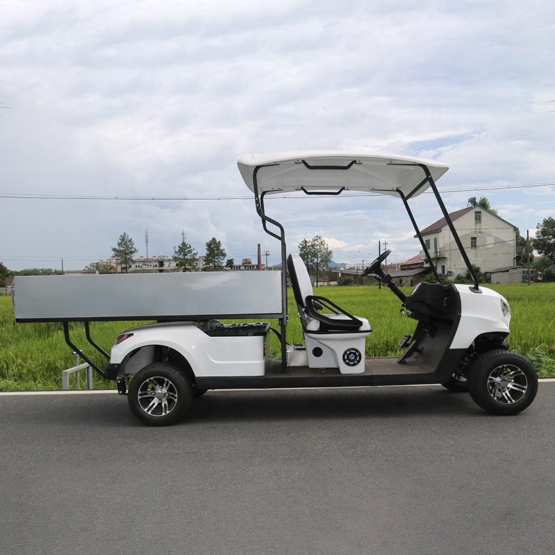 Hot Selling Farm Utility Off Road 2 Seats Mini Electric Golf Carts For Adults use