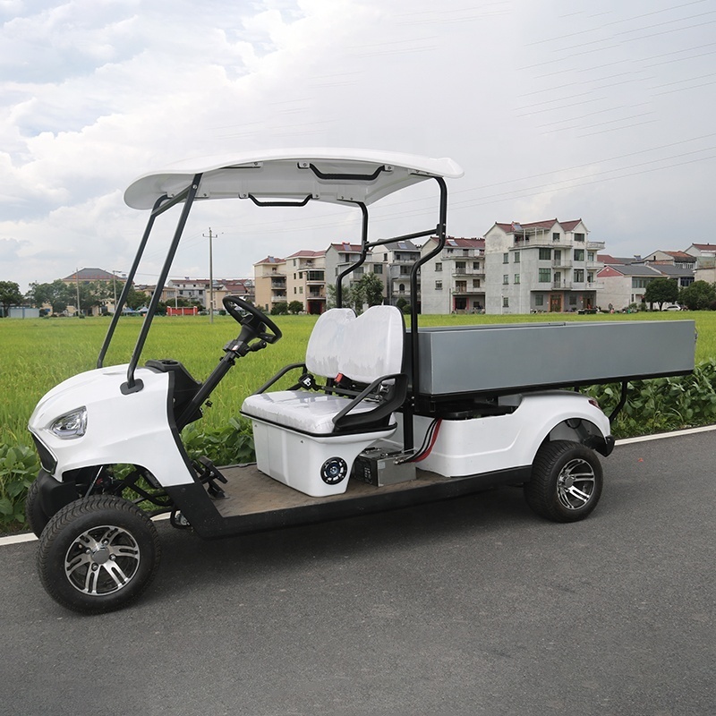 Hot Selling Farm Utility Off Road 2 Seats Mini Electric Golf Carts For Adults use