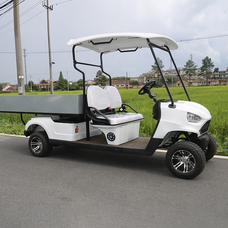 Hot Selling Farm Utility Off Road 2 Seats Mini Electric Golf Carts For Adults use