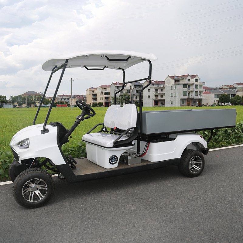 Utility Cargo Golf Carts 2 Seater Heavy Duty Cargo Small Golf Cart 48v With Off Road Tires