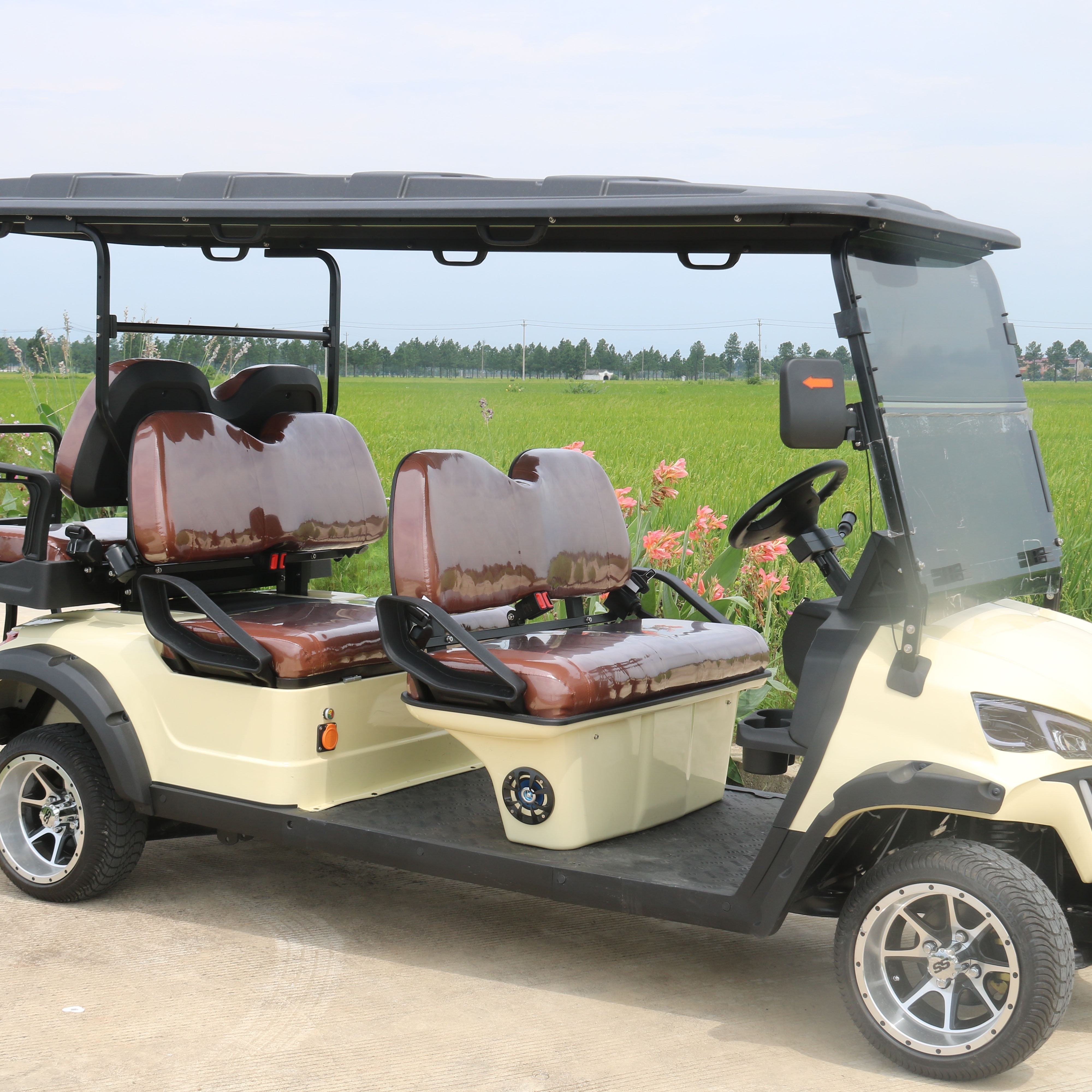 High Endurance 48v Golf Cart Lithium Batteries Durable Cheap 4 Wheel Drive Golf Cart For Sale