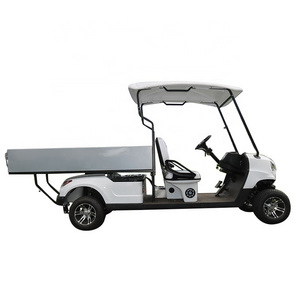 Utility Cargo Golf Carts 2 Seater Heavy Duty Cargo Small Golf Cart 48v With Off Road Tires