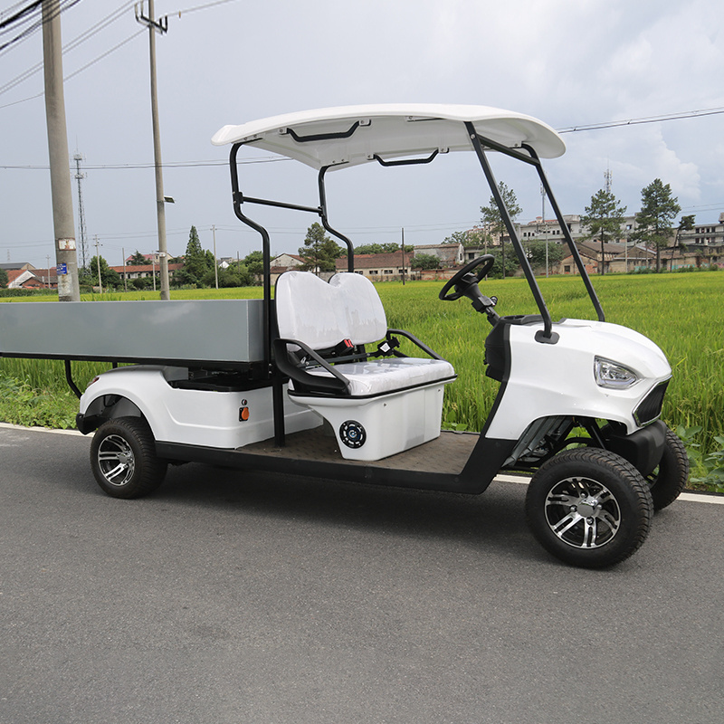 Utility Cargo Golf Carts 2 Seater Heavy Duty Cargo Small Golf Cart 48v With Off Road Tires