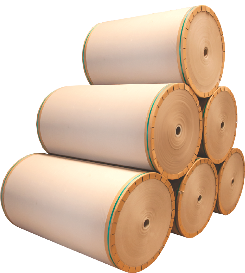 50 60 70 80 GSM Kraft Paper for Paper Bag Manufacturer