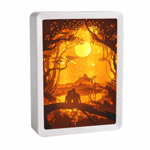 Wholesale Home Decoration Photo Frames Plexiglass Led Shadow Box Frames