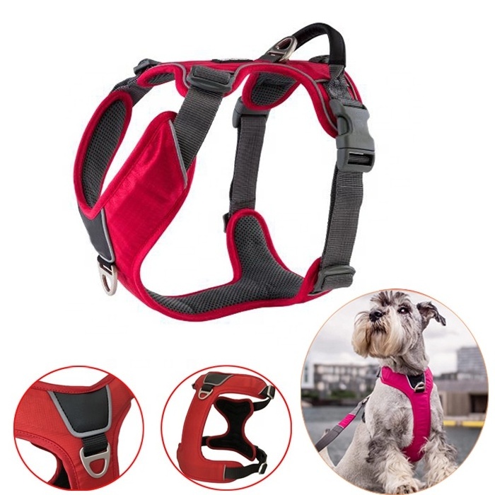 Customized Heavy Duty Reflective Padded Waterproof Training Nylon Tactical UK Manufacturer Dog Collar for Medium Large Pet Dogs