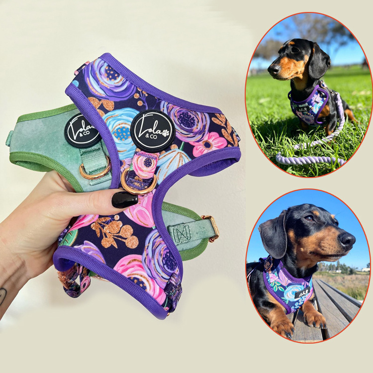 Oem Custom Designer Soft Padded Sublimation Patterns Pet Supplies Dog Leash Set Pet Neoprene Neck Adjustable Dog Harness