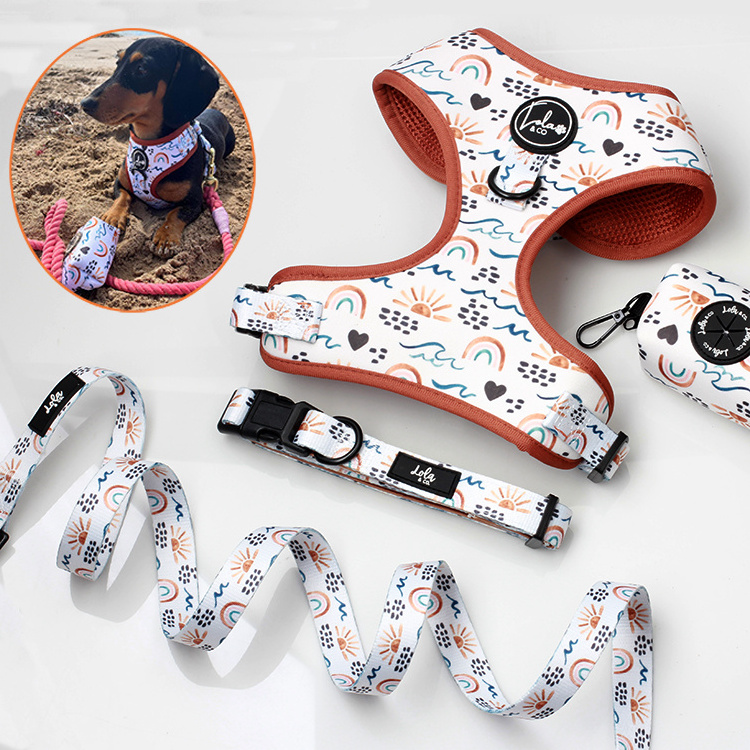 Oem Custom Designer Soft Padded Sublimation Patterns Pet Supplies Dog Leash Set Pet Neoprene Neck Adjustable Dog Harness