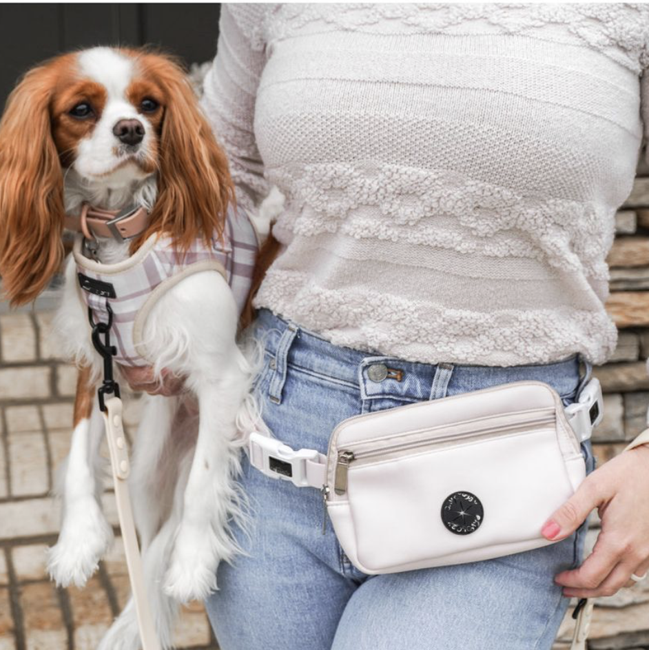 Waterproof Designer Crossbody  Fanny Pack Pet Belt Bum Waist bag Dog Mom bag Small Dog food Treat Side Bag Pouch for Walking