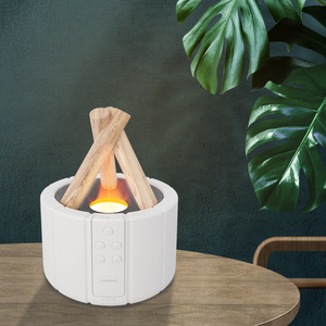 2024 New Private Label Innovations Aromatherapy Bonfire Flame Diffusor Flame Fire Aroma Diffuser Ultrasonic Humidifier