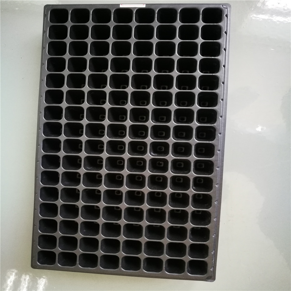 Customized large thermoforming plastic nest plant tray with 128 cells plug tray and low moq