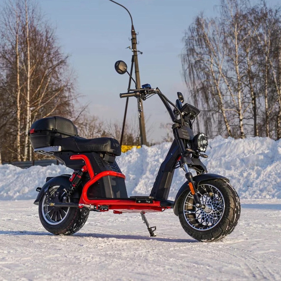 Citycoco electric motorcycle adult electric scooters powerful adult 2 wheel