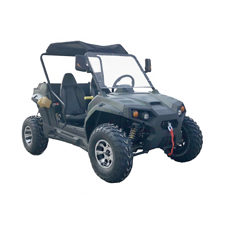 200cc UTV Electric Start Gasoline Go Kart Powered UTV with Winch Trailer Ball 2 Passenger Carts