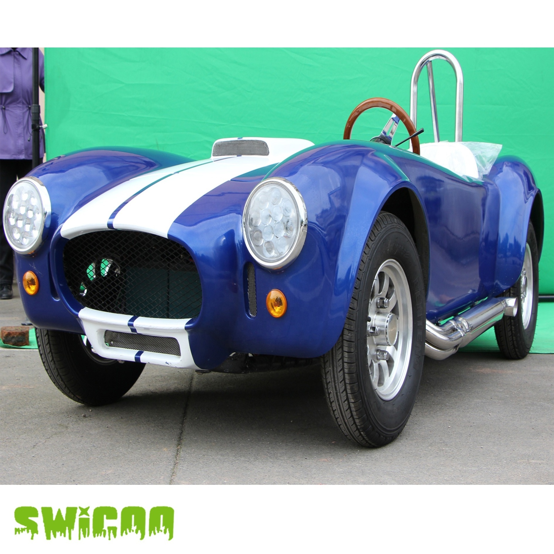 Battery Electric Club Car Golf Cart 1500w Mini Cobra Brushless Motor 2 Seater Mini Golf Cart Electric 2 Person Golf Cart