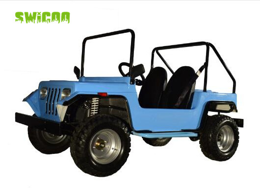 Shineray Engine 125cc 150cc Automatic Clutch Mini Jeep with 2 Seats