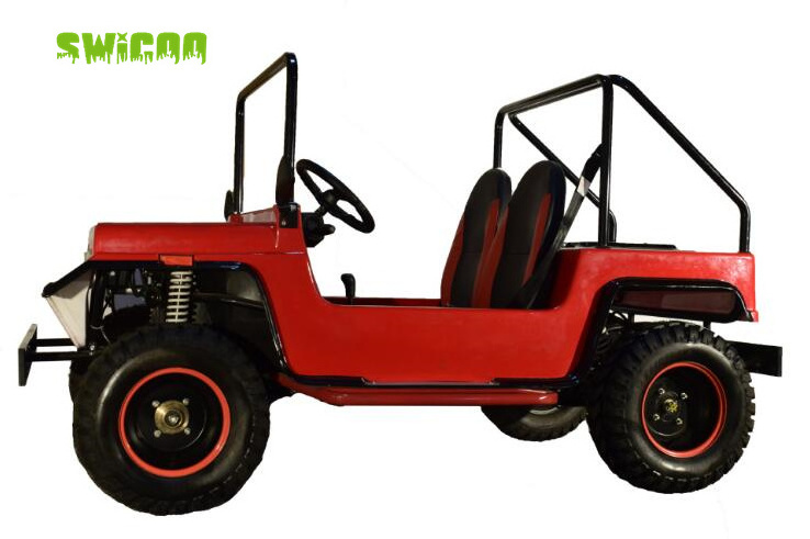 Shineray Engine 125cc 150cc Automatic Clutch Mini Jeep with 2 Seats