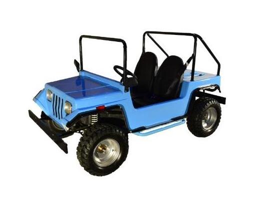 Shineray Engine 125cc 150cc Automatic Clutch Mini Jeep with 2 Seats