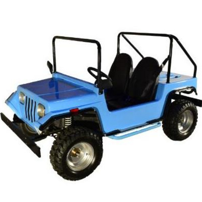 Shineray Engine 125cc 150cc Automatic Clutch Mini Jeep with 2 Seats