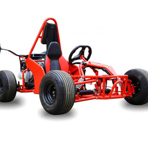 1500W 48V Electric Go Kart Carting Car Karting 2 Seat Cheap for Sale