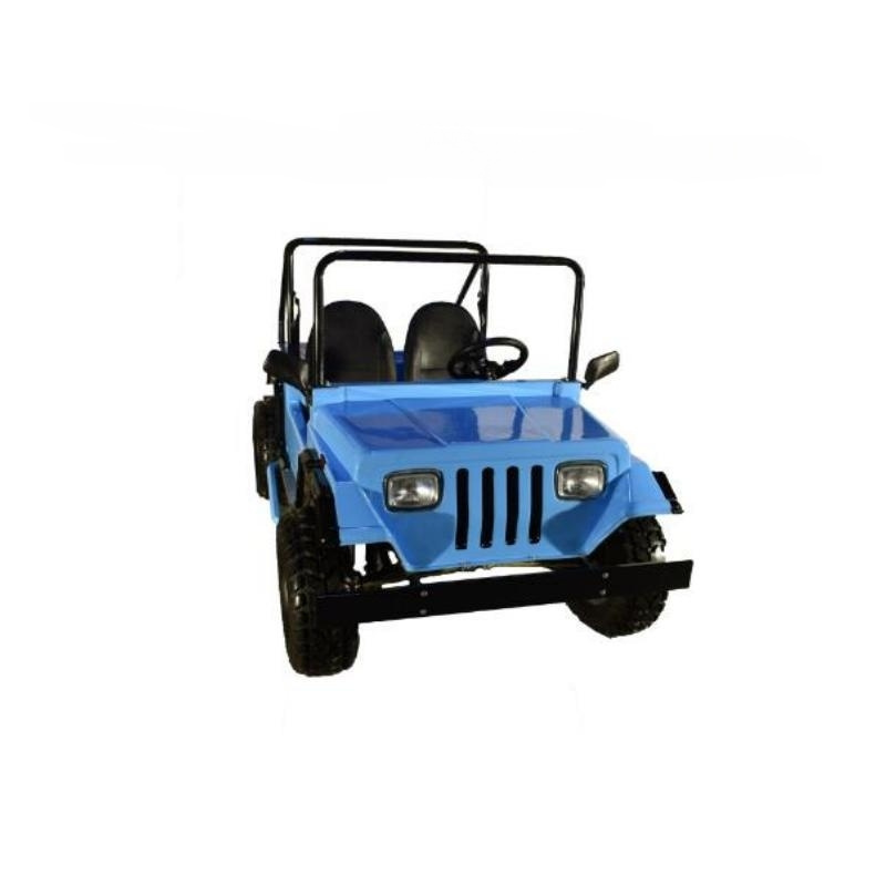 New Design1500W Mini Jeeps 2 seatsJeeps Brushless Motor Golf Cart for Adults