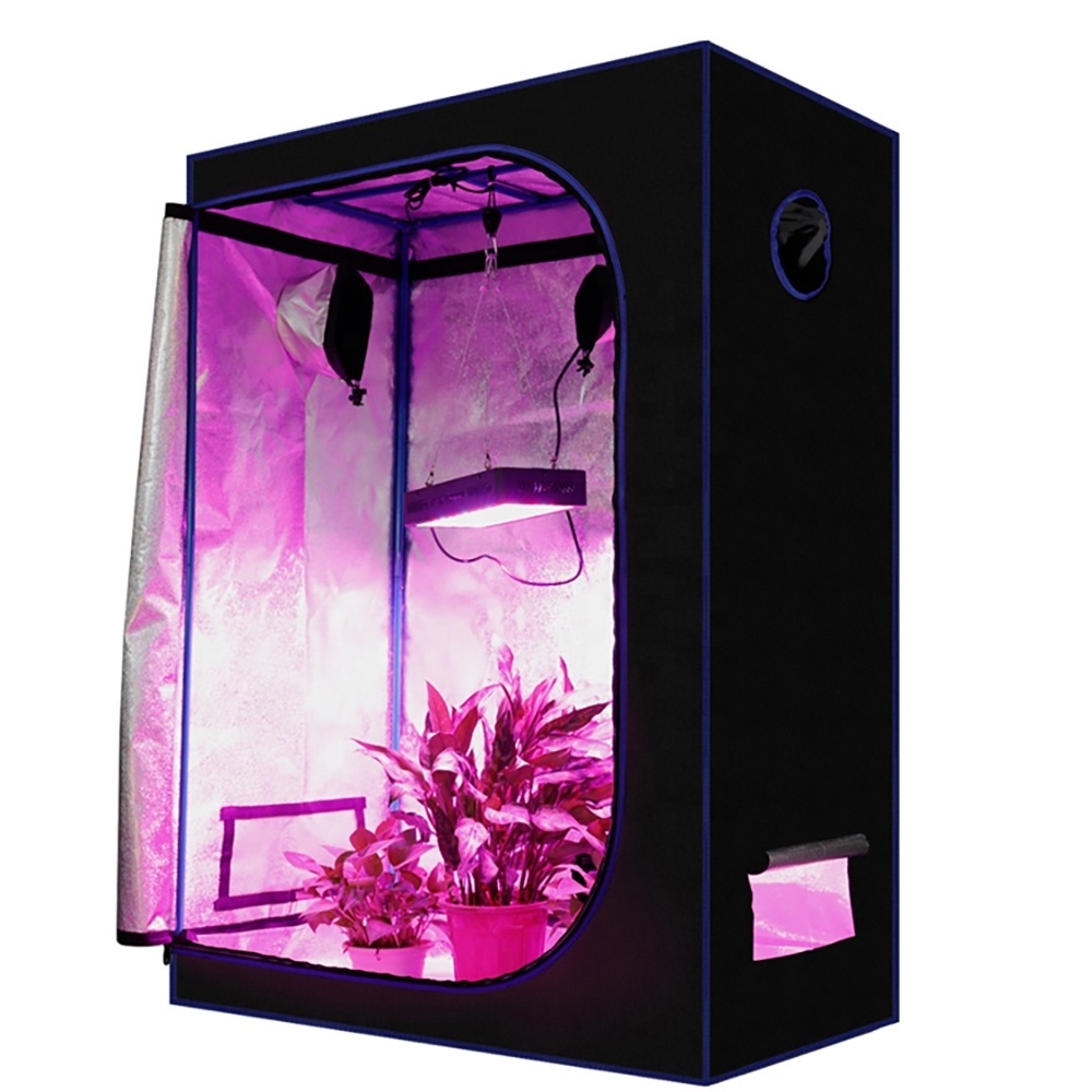 Hydroponics small 2x2 grow tent 24