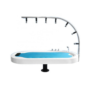 PIKES VTSPA-5 Hydro SPA Massage Water Jet Acrylic Material Outdoor Vichy Shower Bed for Sale