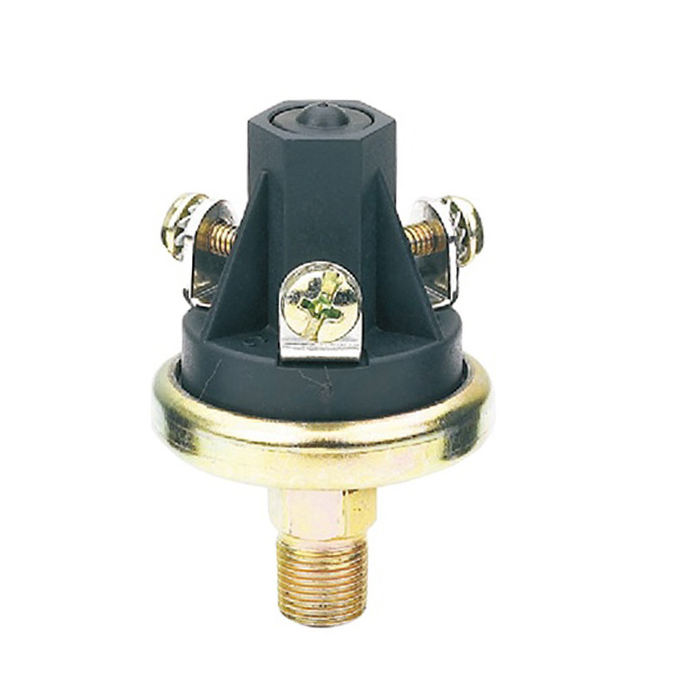 Thermosetting Plastic Sealed Micro SPDT Vacuum Pressure Switch