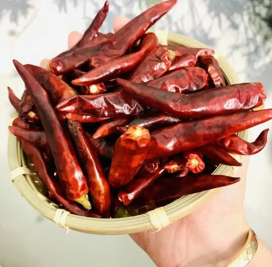 Dried Red Chilli Wholesale Price Good For Health For Seasoning Odm Service Custom Design Made In Vietnam Manufacturer