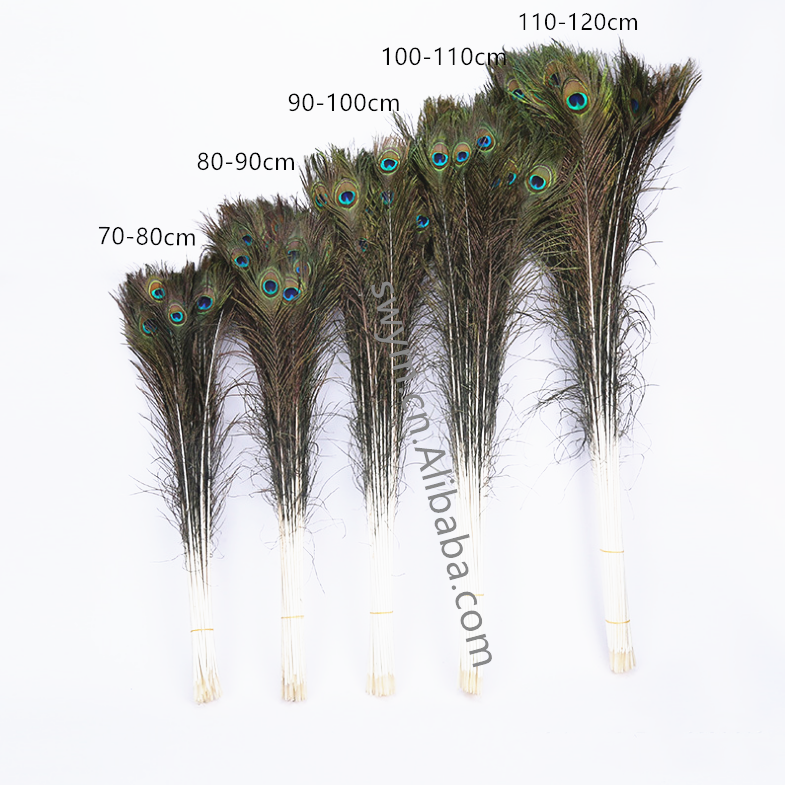 Cheap China Factory Top Quality Newly Design Natural Color Tassel Fringe Trims Feathers For Your Hair Nature Peacock Feather