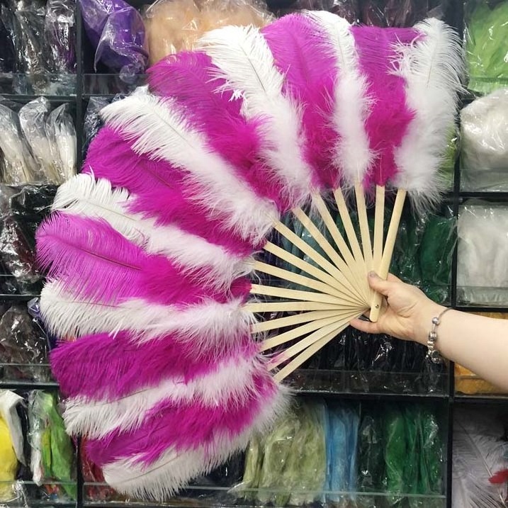 High Quality Burlesque Two Color Double Color Ostrich Feather Fans for Dance Carnival Costumes