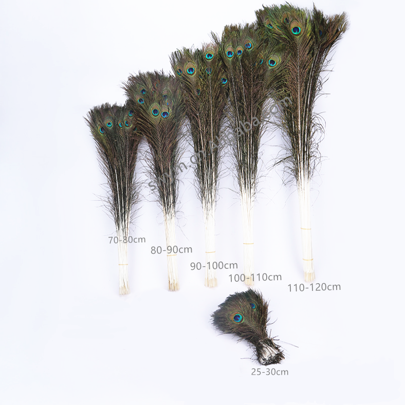 Cheap China Factory Top Quality Newly Design Natural Color Tassel Fringe Trims Feathers For Your Hair Nature Peacock Feather