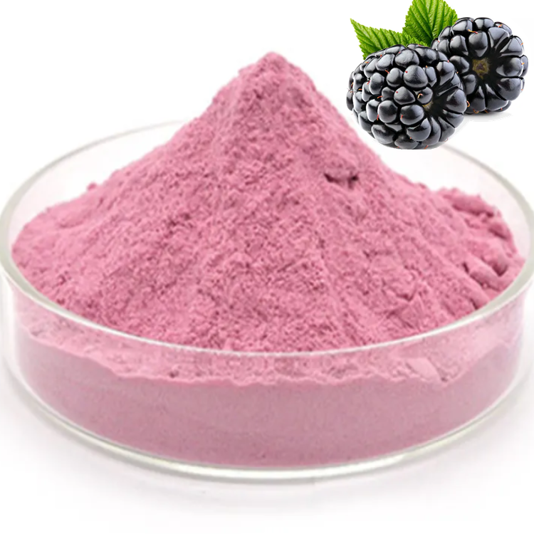 Best Price High Quality mulberry fruit/blackcurrant/blueberry extract 25% anthocyanins