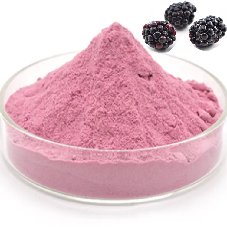 Best Price High Quality mulberry fruit/blackcurrant/blueberry extract 25% anthocyanins